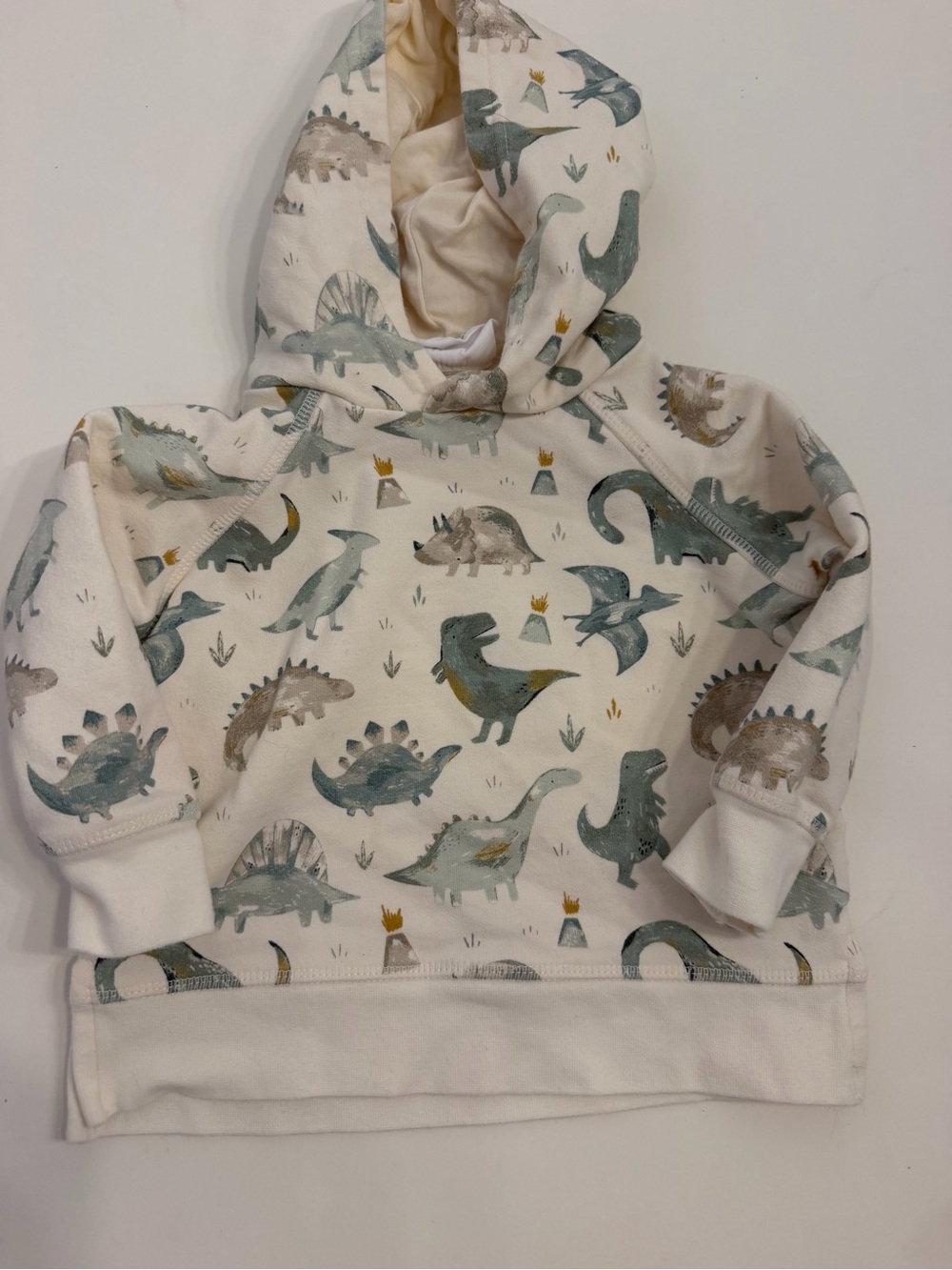Angel Dear Cream Hooded sweatshirt with Green & Gray Dino Print 12/18 months